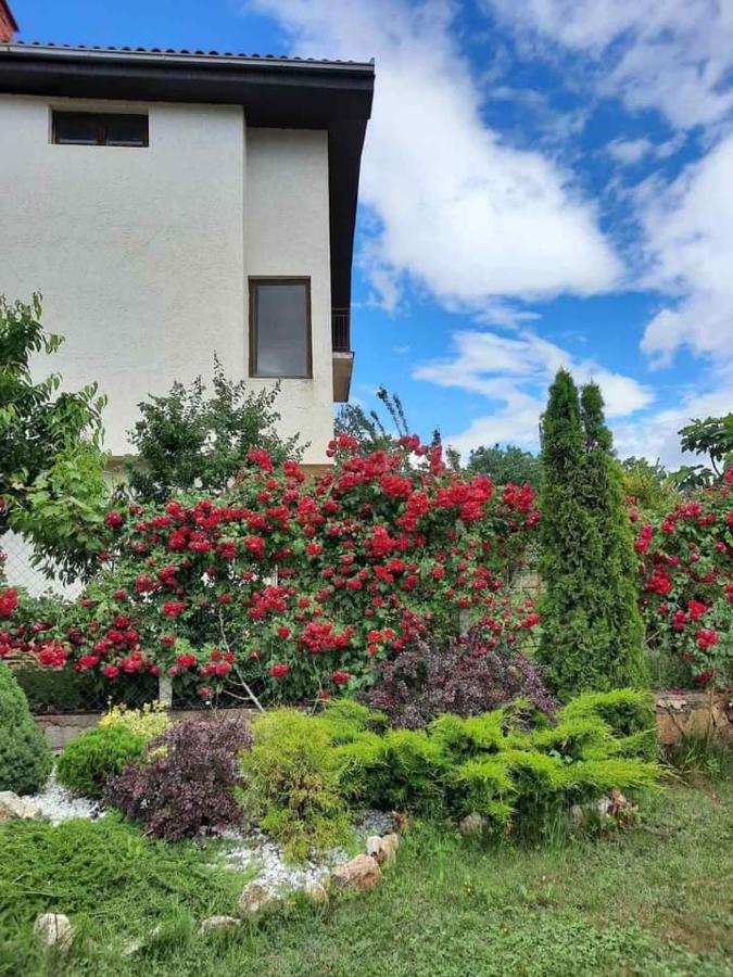 Villa Silva オフリド エクステリア 写真